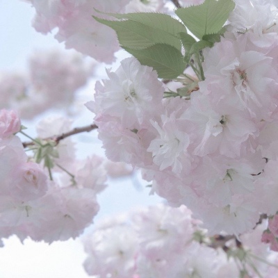 江南FurryQQ群介绍